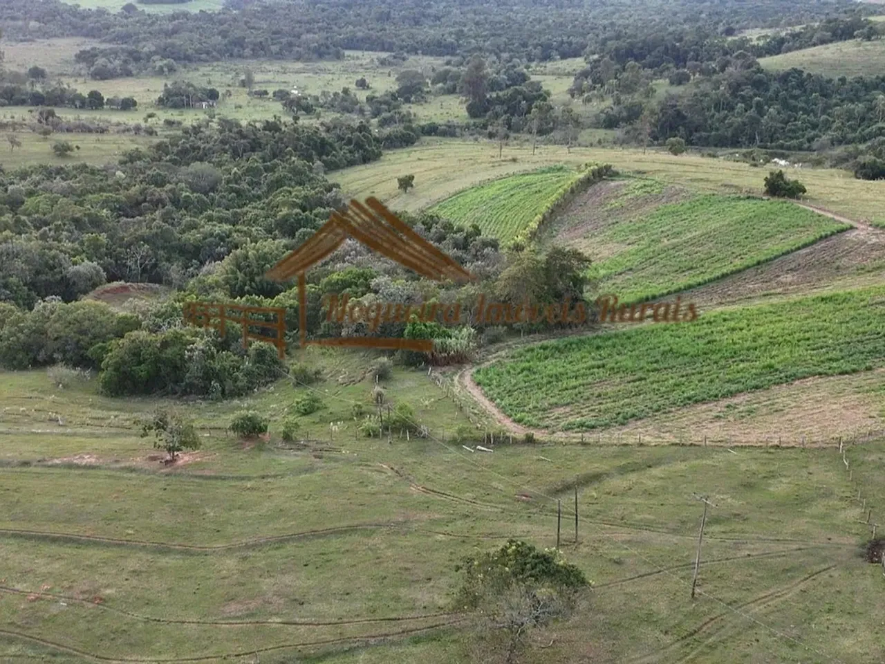 Sítio à venda em Conchas-SP