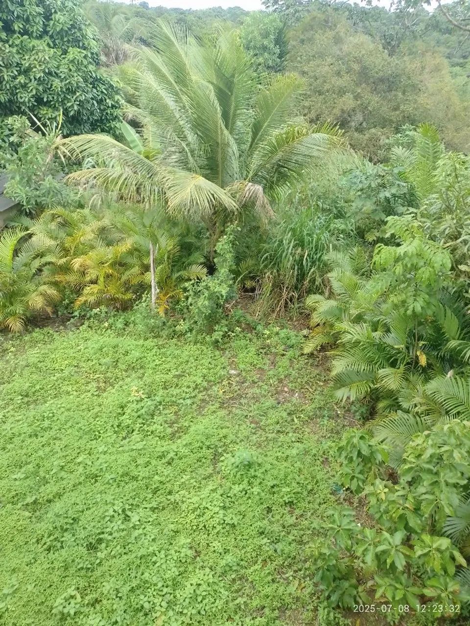 Sítio em Camaçari  - Foto 2