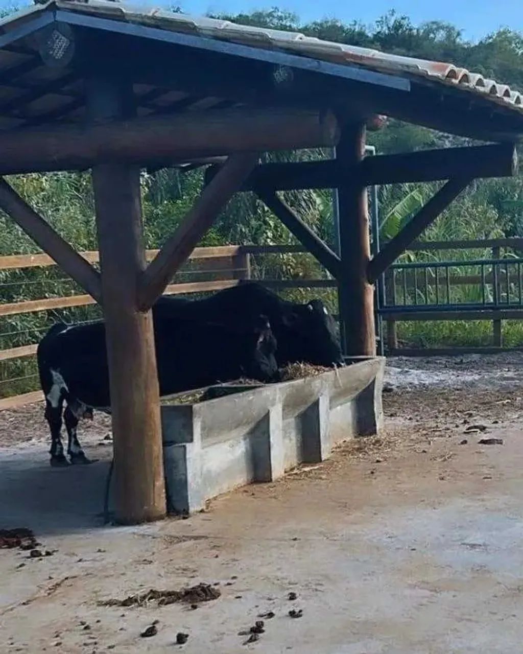 LOTE NO CONDOMÍNIO FAZENDA REAL [18785] - Foto 6