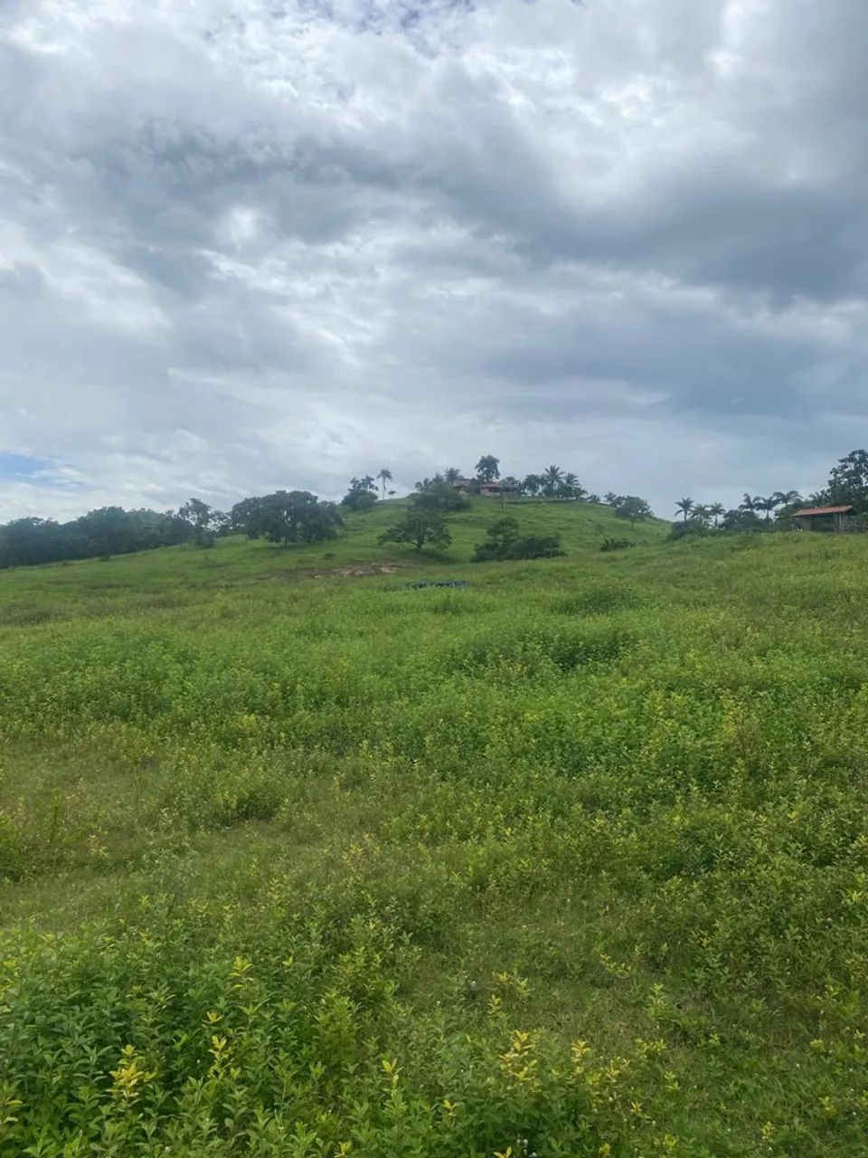 Fazenda em Padre Bernardo  - Foto 4