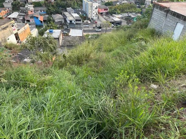 Foto - Francisco Morato - Jardim Olga