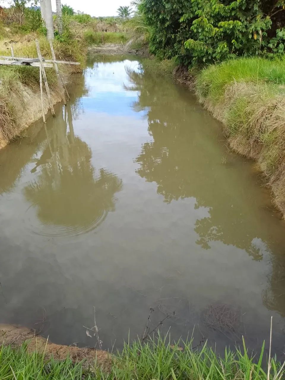 Terreno a venda  se quer comprar só mandar  msg pelo watts terreno muito bom pra criar boi - Foto 4