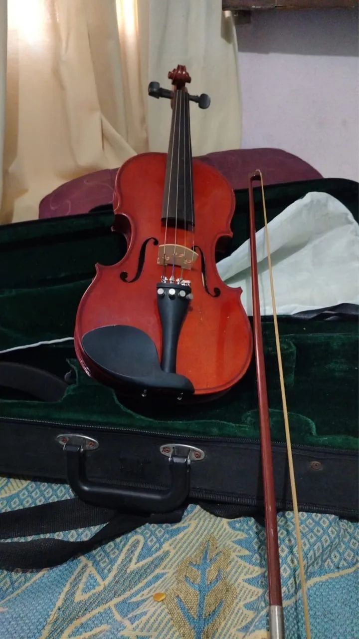 Violino 