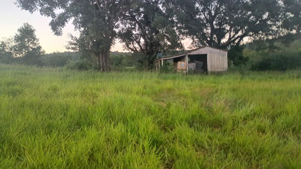 Arrendamento para pecuária 