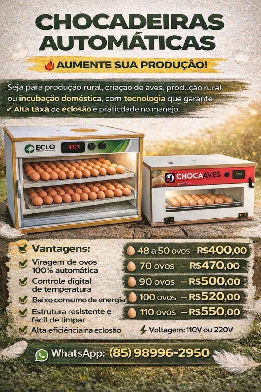 Chocadeira eclo capacidade 50 ovos 