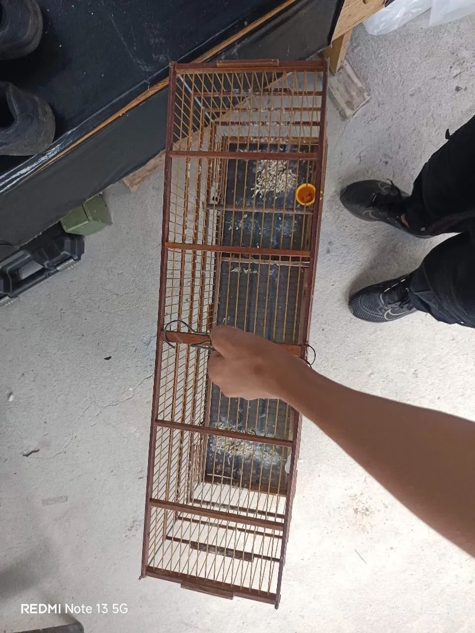 Gaiola voador grande 