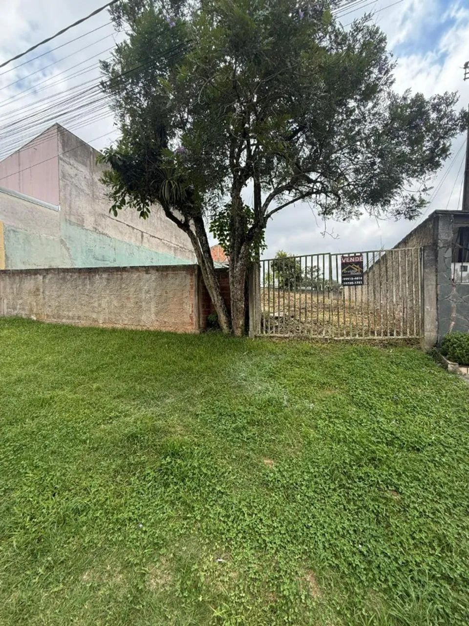 Foto - Almirante Tamandaré - Lamenha Grande