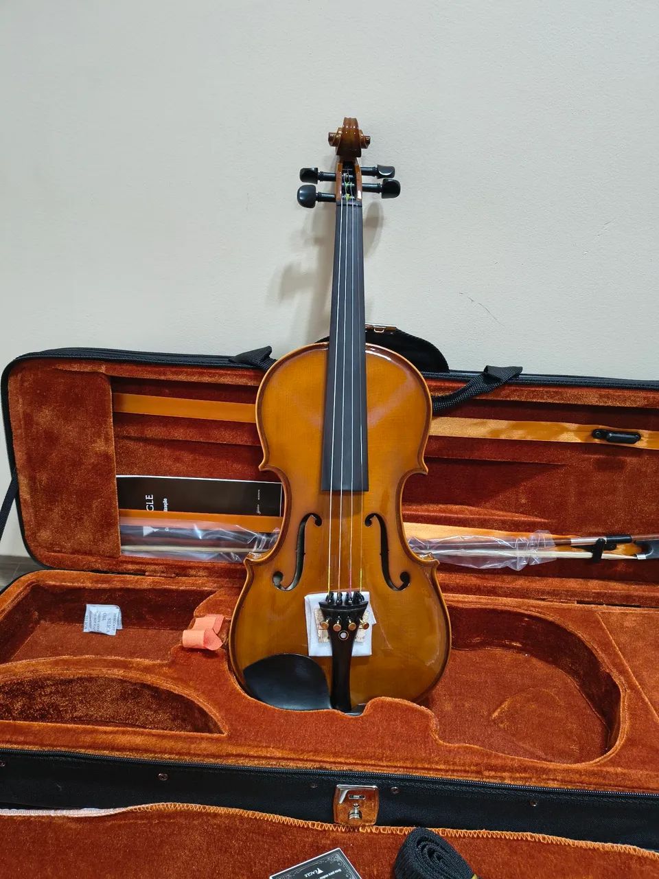 Violino Eagle VE144 Completo  - Foto 2