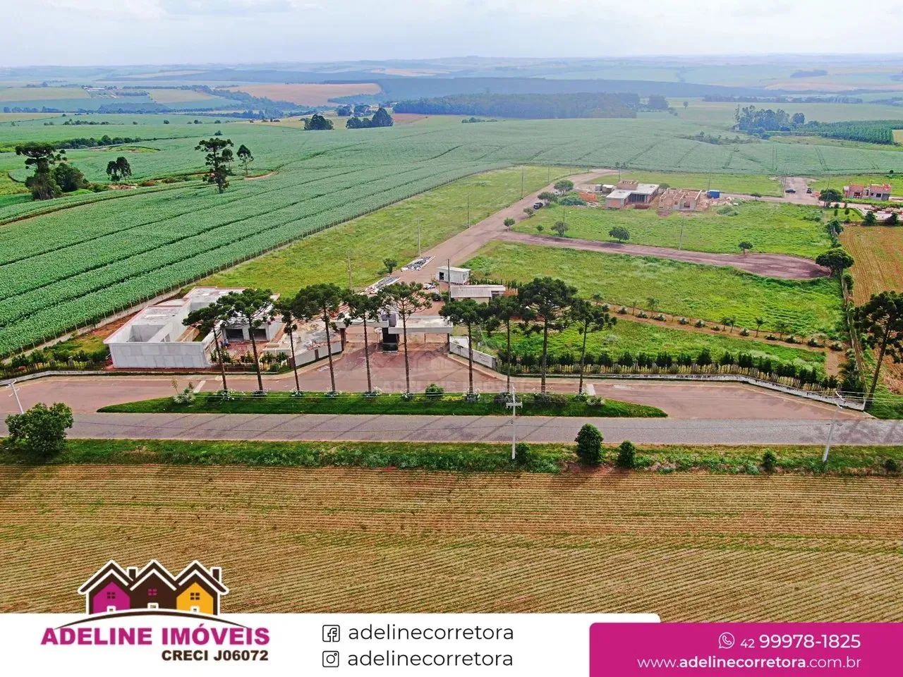Terreno Colônia Carambeí - Foto 5