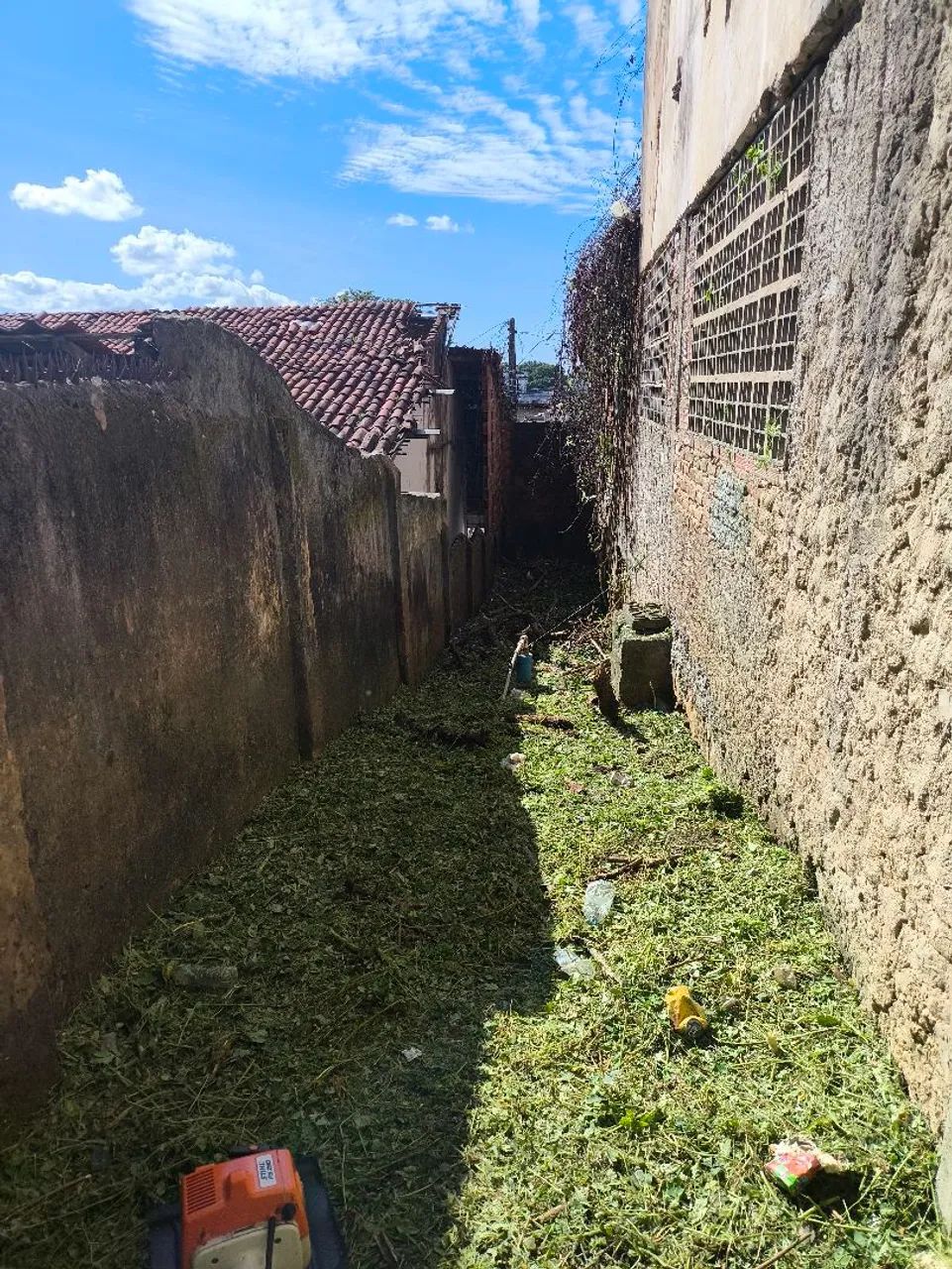 Limpeza de Mato  - Foto 2