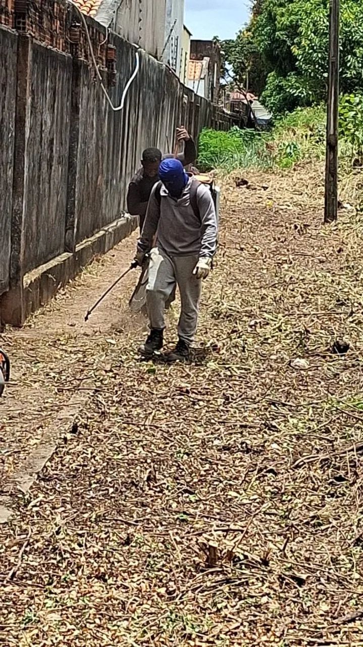 Corte árvores  aplicação  de veneno  capina e roçagem  - Foto 2