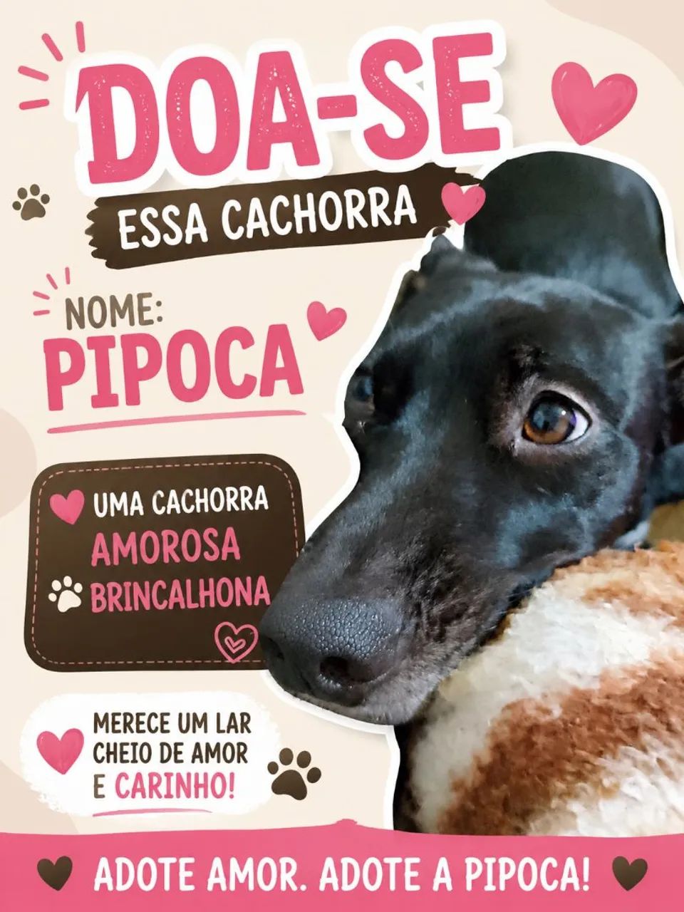Doa-se cachorra