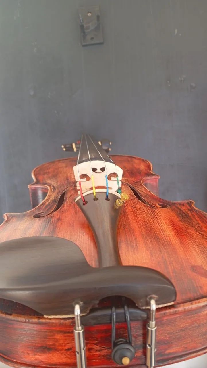 Violino 