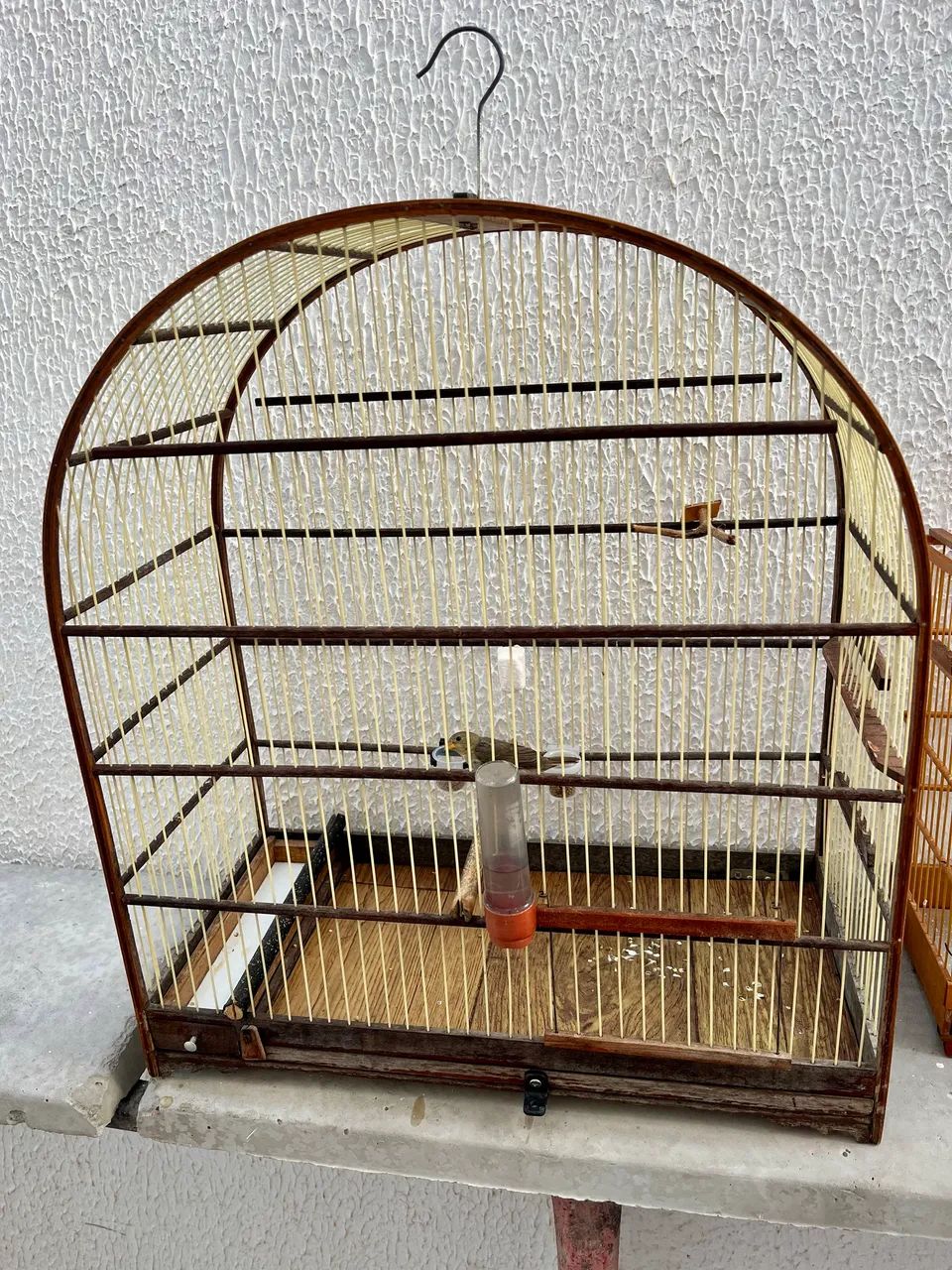 Gaiola Arco Nº6