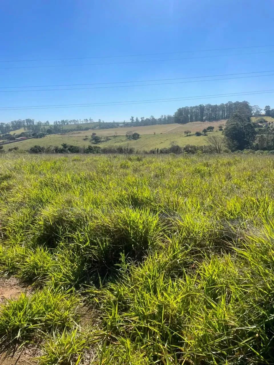 1.500 m² para Construir Seu Refúgio no Interior - Foto 4