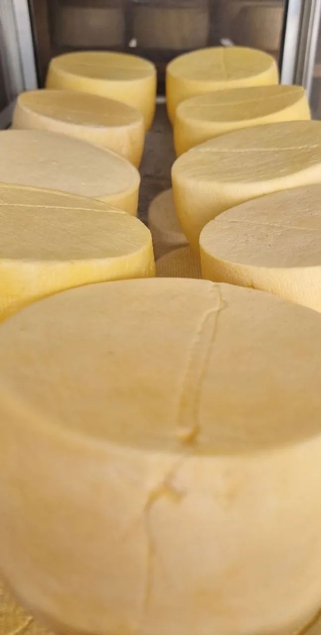 Queijo curado na tabua pouco sal 