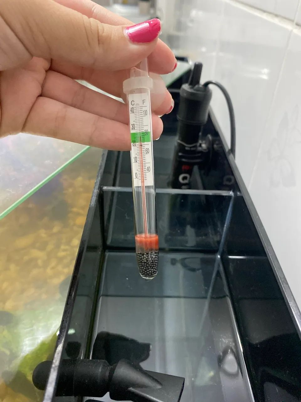 Aquário 55l - Foto 4