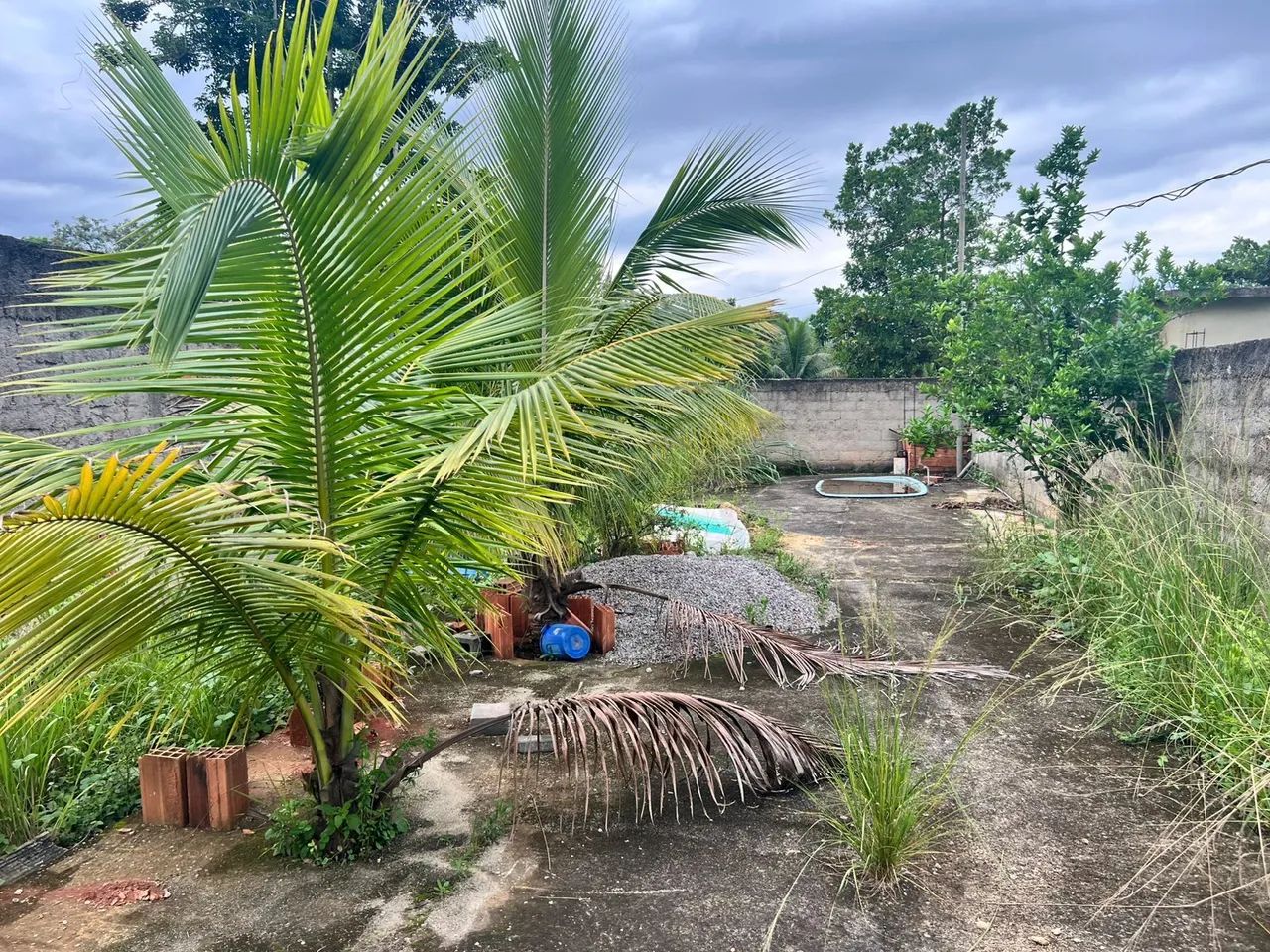 Terreno Tinguá  - Foto 7