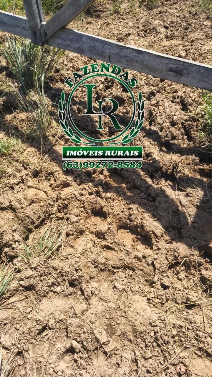 FAZENDA DUPLA APTIDÃO REGIÃO PEDRO AFONSO - Foto 2