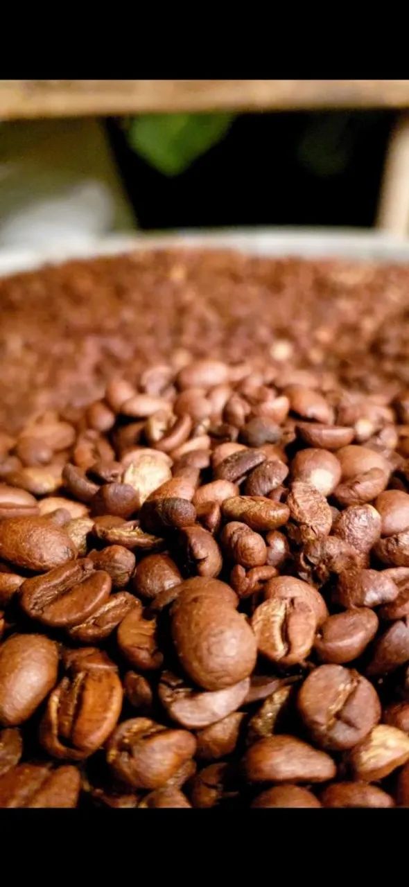 Café Artesanal (Moido ou em Grãos) - Foto 5