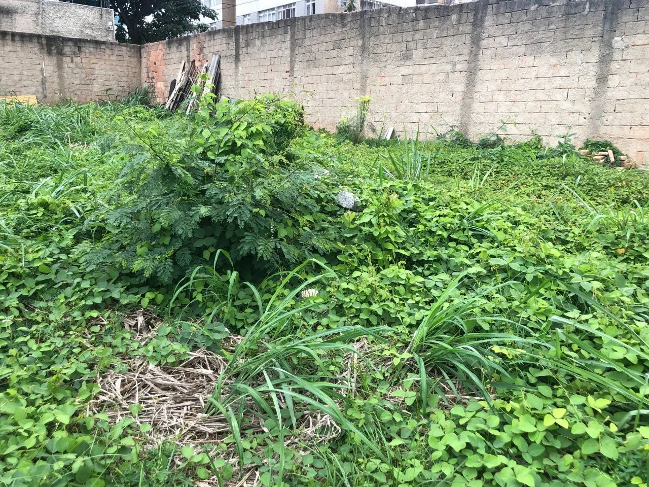 Lote a venda no Bairro Nova Esperança com 420m² - Foto 4