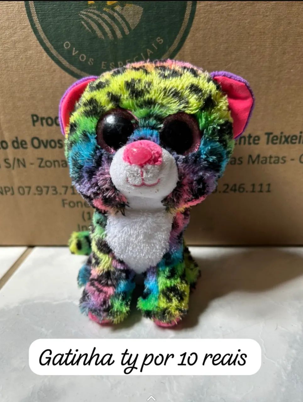 Urso