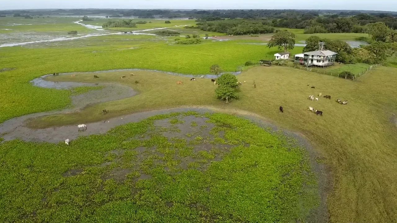 Imóvel para venda tem  metros quadrados com 3 quartos em Centro - Amapá - AP