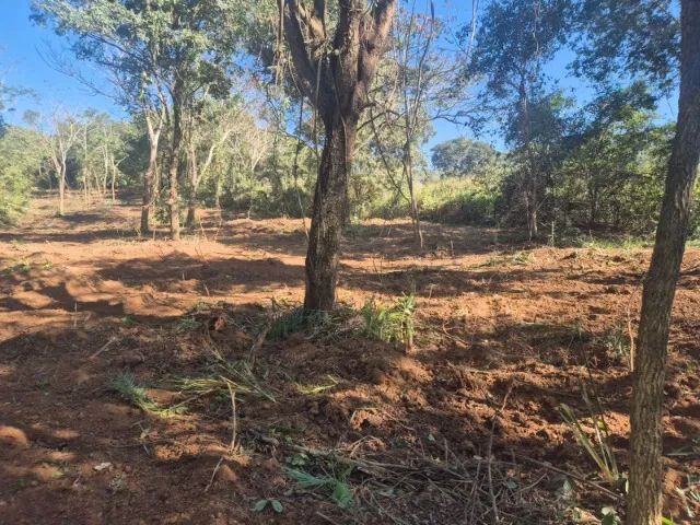 EXCELENTE ÁREA PARA LAZER - 1 HA (10.000 m²) - Foto 3