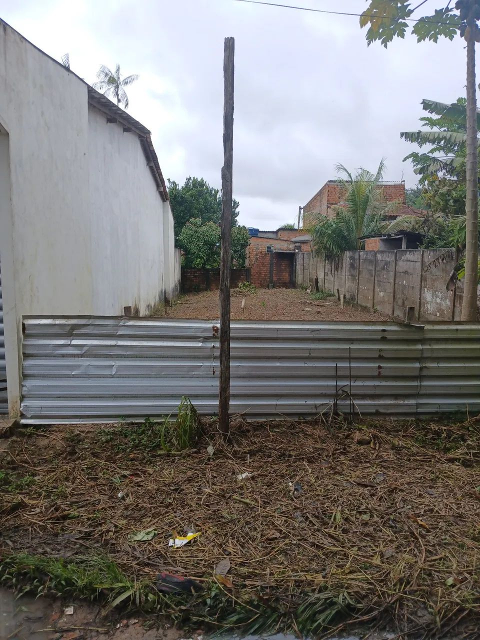 Terreno Próximo Augusto Montenegro  - Foto 2