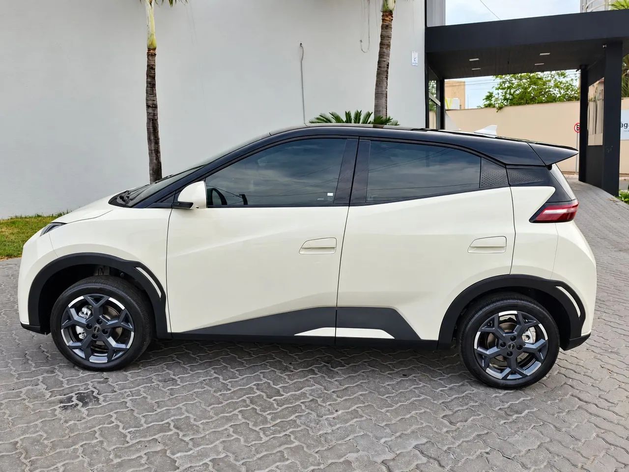 BYD Dolphin Mini (Elétrico) 2026 - Foto 3