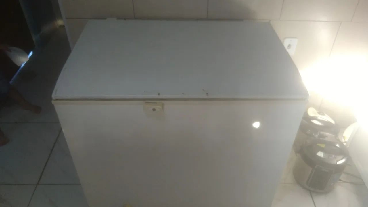 Vendo freezer Electrolux  - Foto 2