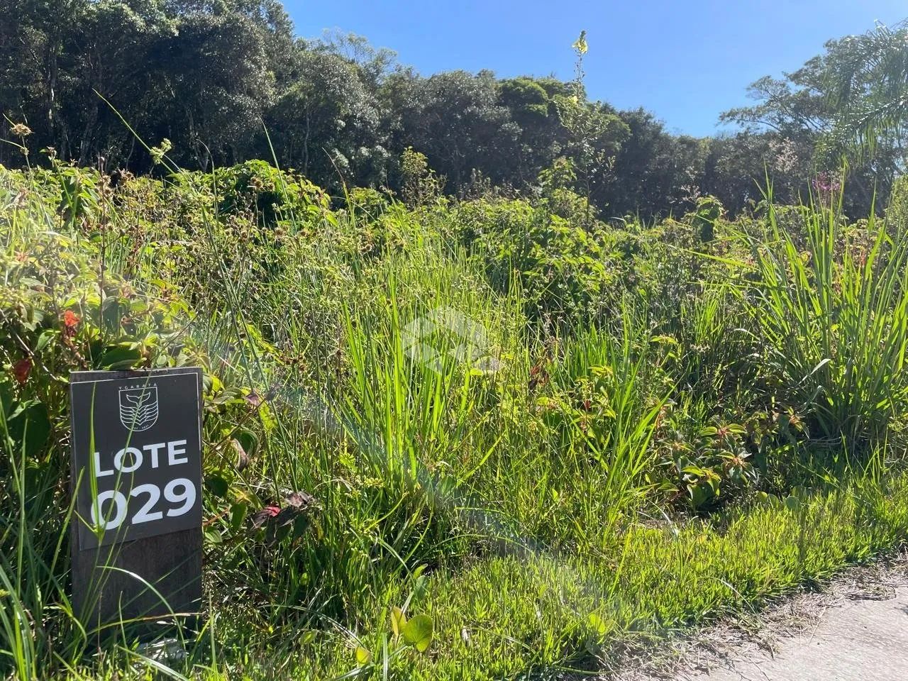 Terreno à venda em Garopaba com 360,10 m² - Foto 3