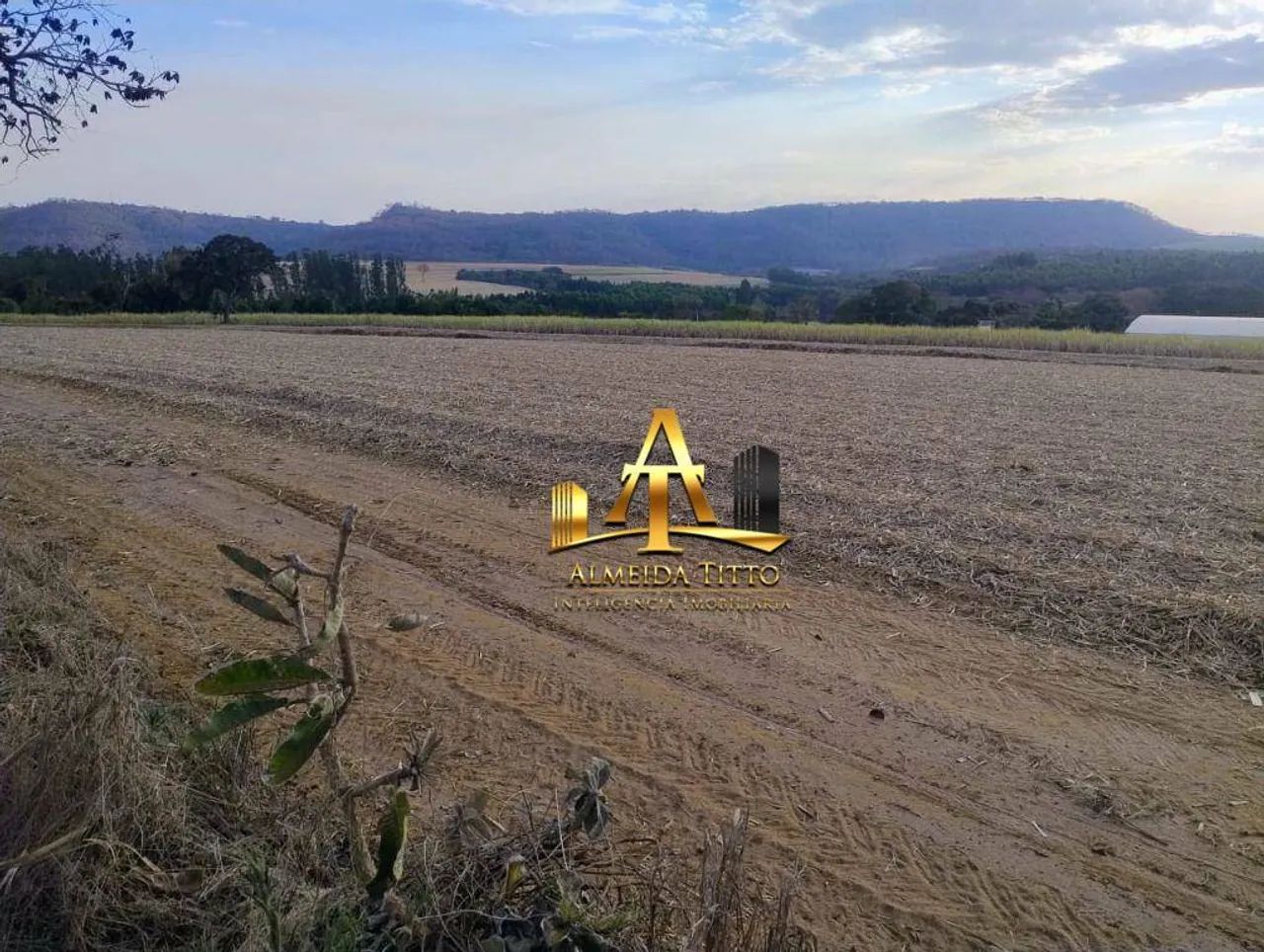 Fazenda à Venda - Zona Rural - Mococa/SP - Foto 5