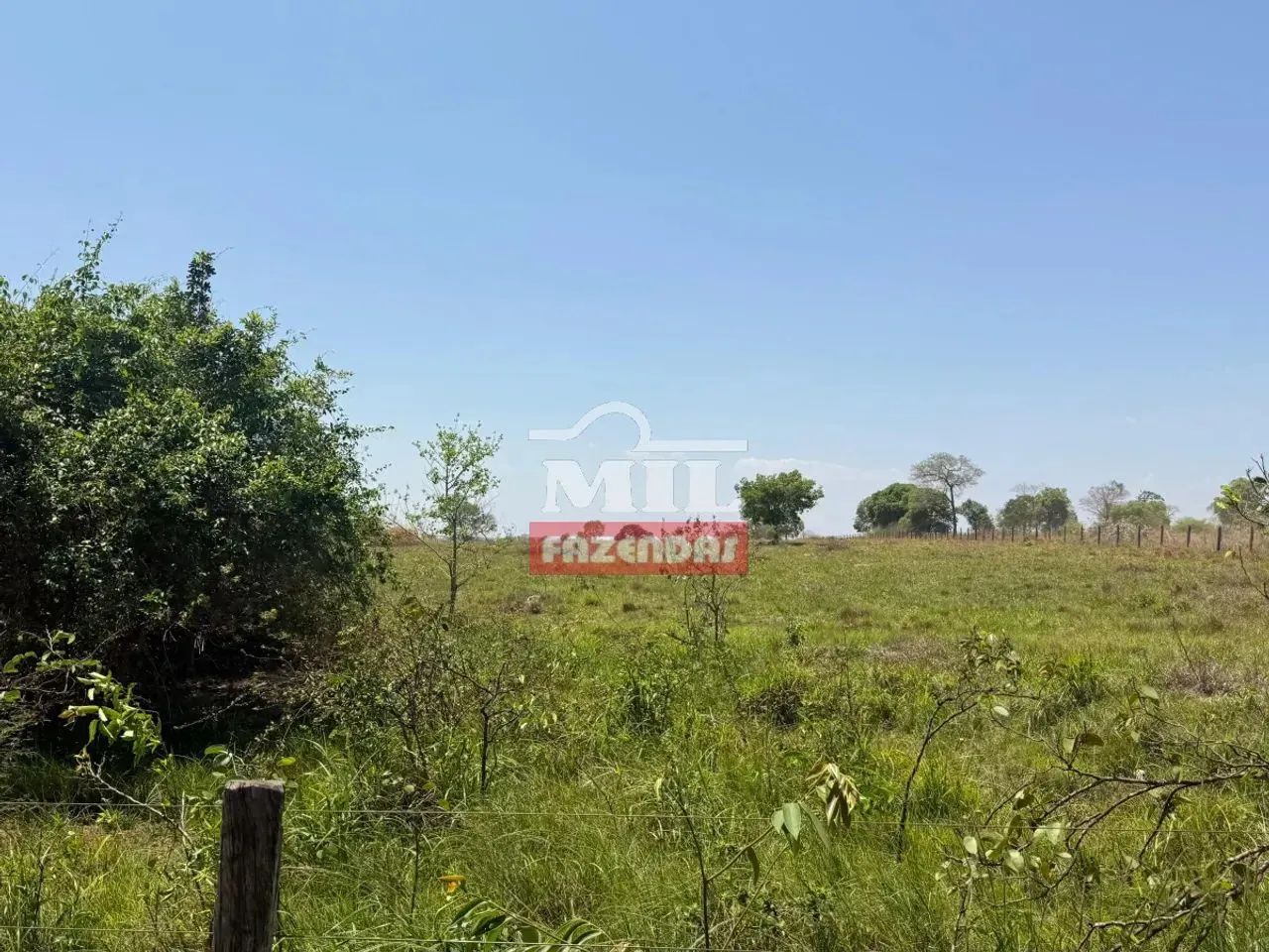 Fazenda 150 alqueires (726 hectares) Nova Crixas - Go - Foto 3