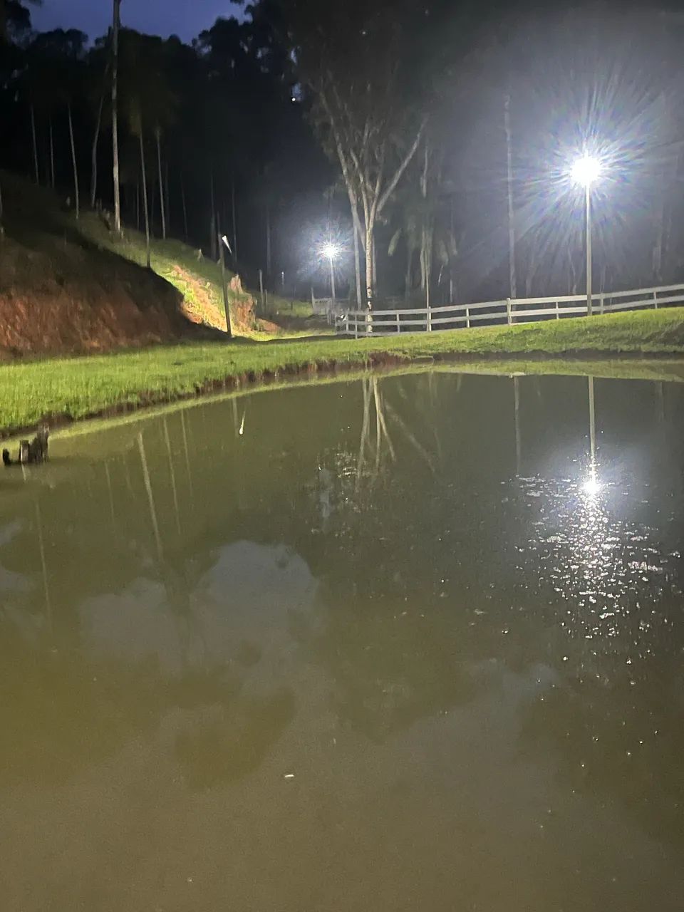Vendo sítio - Foto 4