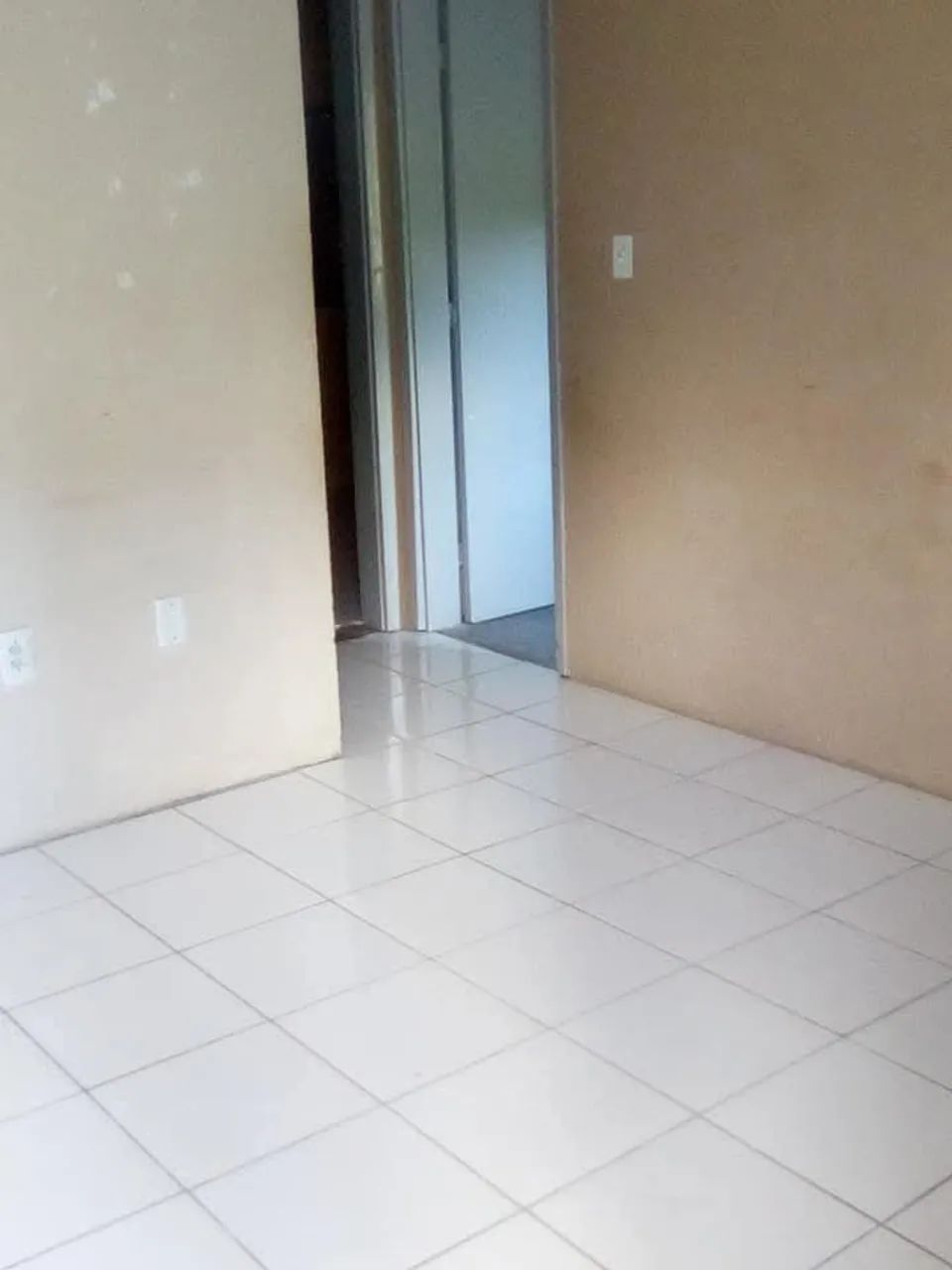 Sussuarana velha  - Foto 3