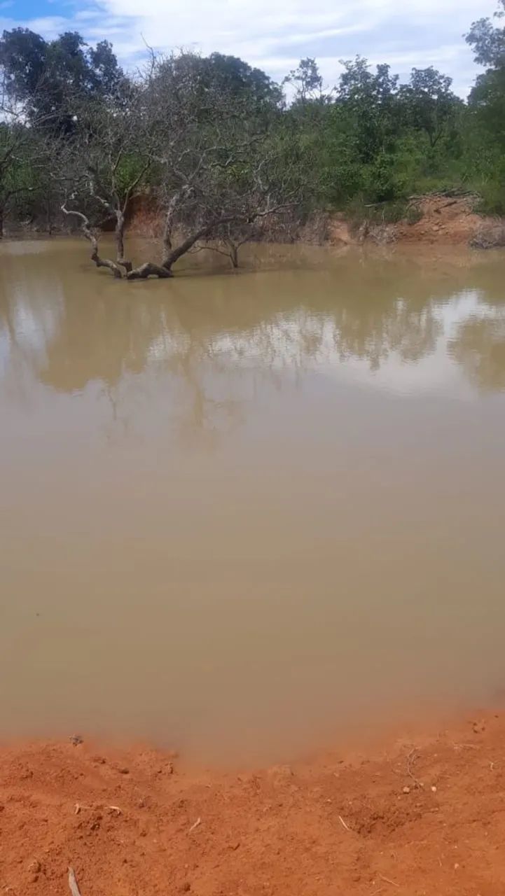 Vendo Sitio