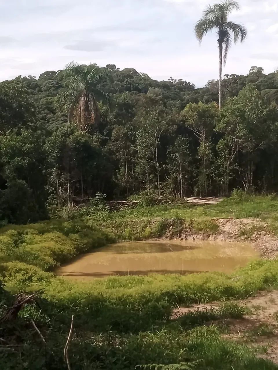 Sítio em Anitápolis SC