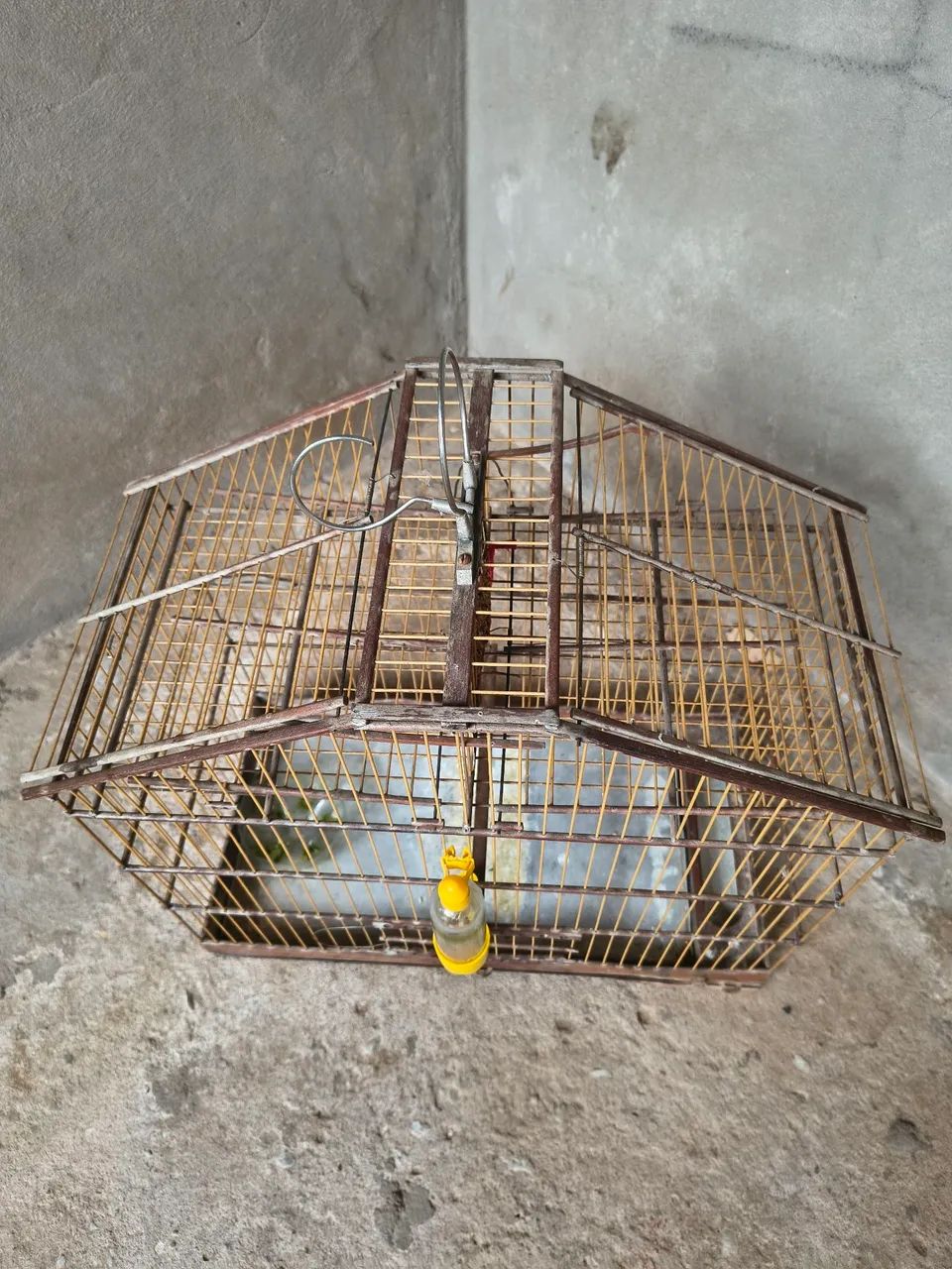 Vendo Gaiola Automática  - Foto 5
