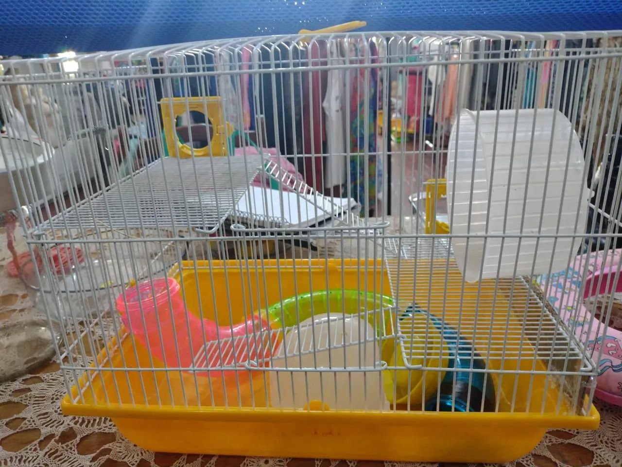 Gaiola 