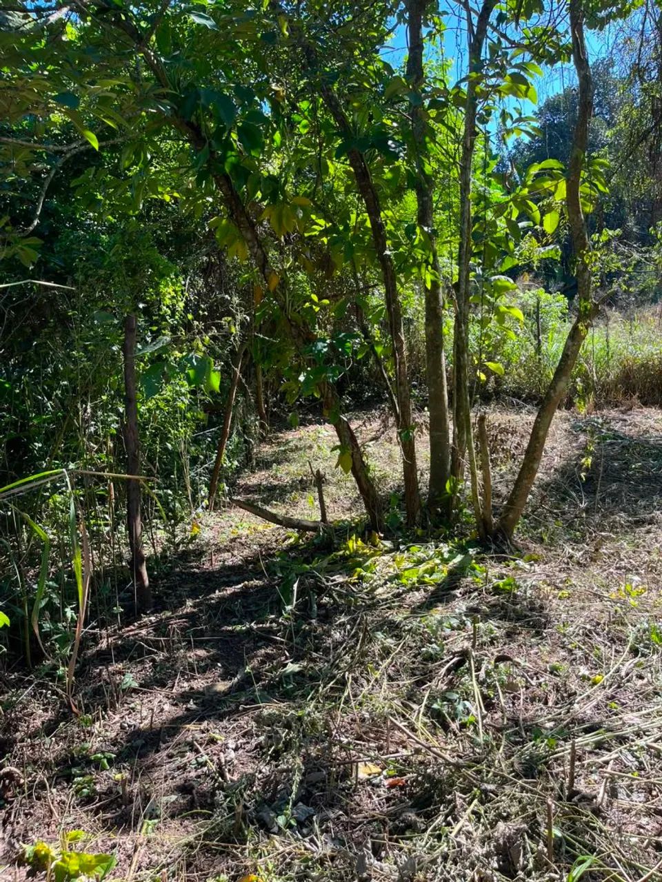 Vendo terreno em jardim primavera  - Foto 4