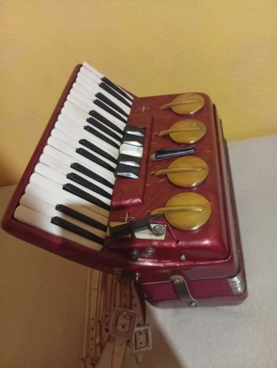 Acordeon - Foto 2