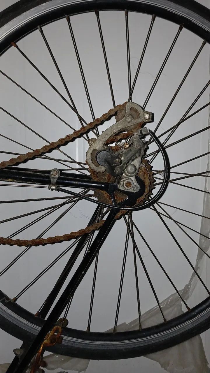 Bicicleta  - Foto 5