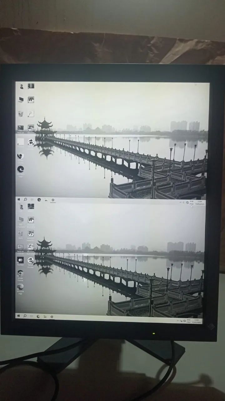 Monitor Profissional EIZO RadiForce GS510 21,3? 5MP - Foto 2