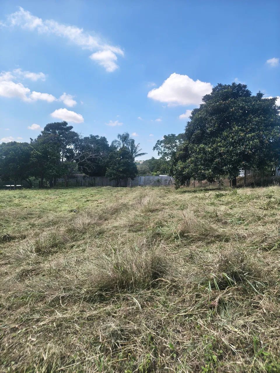 Terreno para chácara  - Foto 4