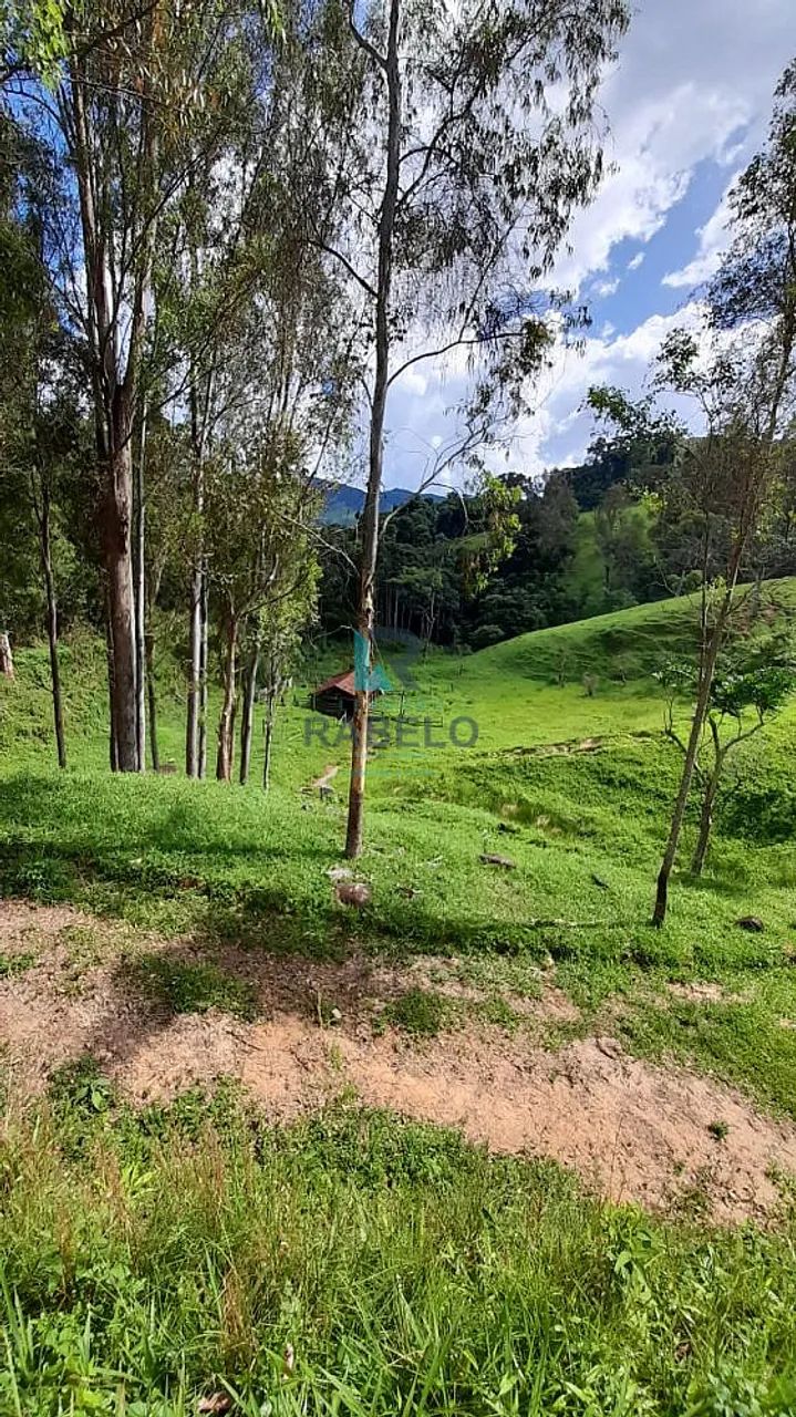 SÍTIO FORMADO EM DELFIM MOREIRA-MG - Foto 5