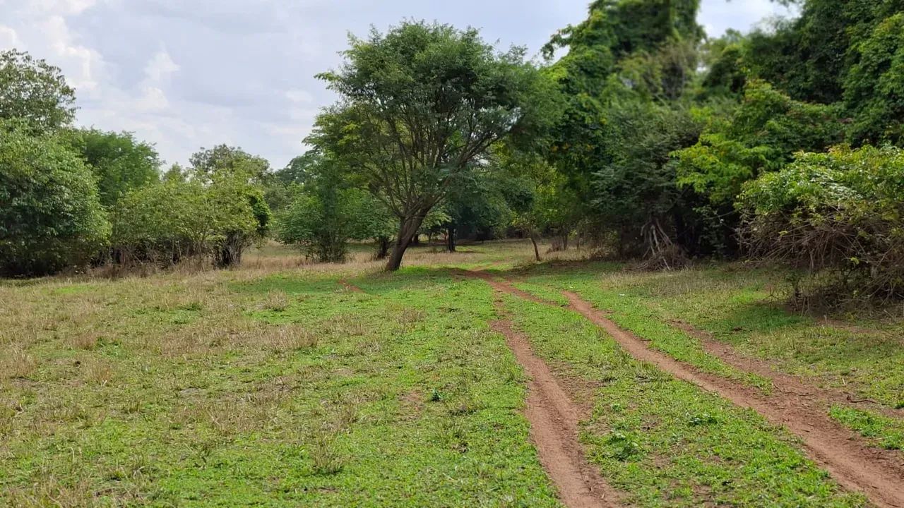 AREA RURAL DE GENERAL SALGADO    SÍTIO À VENDA  GENERAL SALGADO/SP - Foto 3