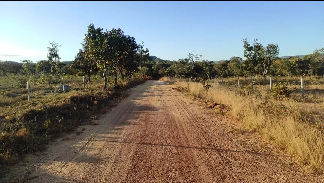 Sítio no município de Buritis-MG - Foto 5
