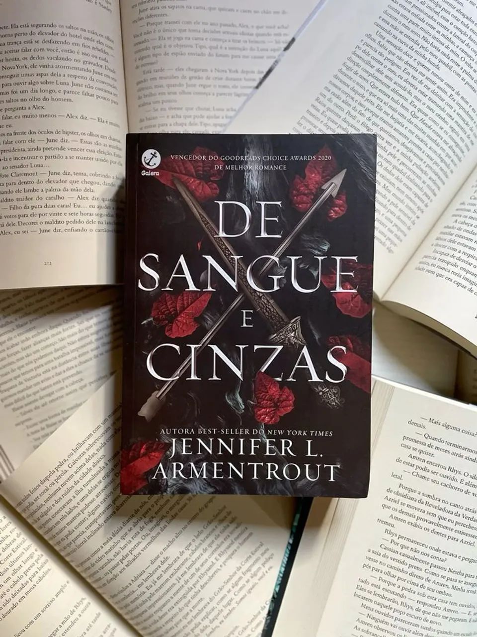 Livro De Sangue e Cinzas - Foto 3