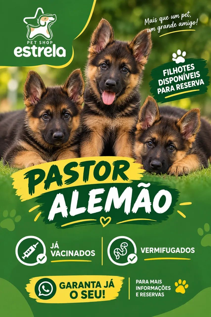 Filhotes pastor alemão 